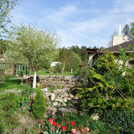 Homestay Roja Vilnius Kültér fotó