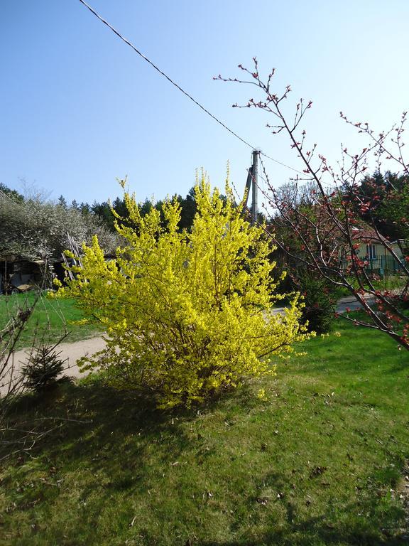 Homestay Roja Vilnius Kültér fotó