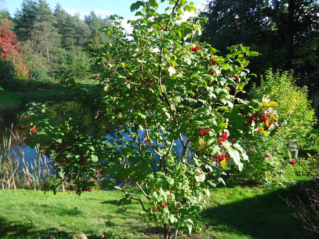 Homestay Roja Vilnius Kültér fotó