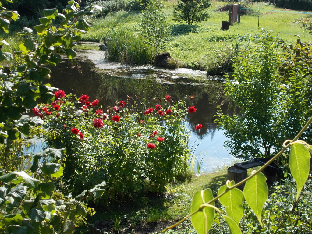 Homestay Roja Vilnius Kültér fotó